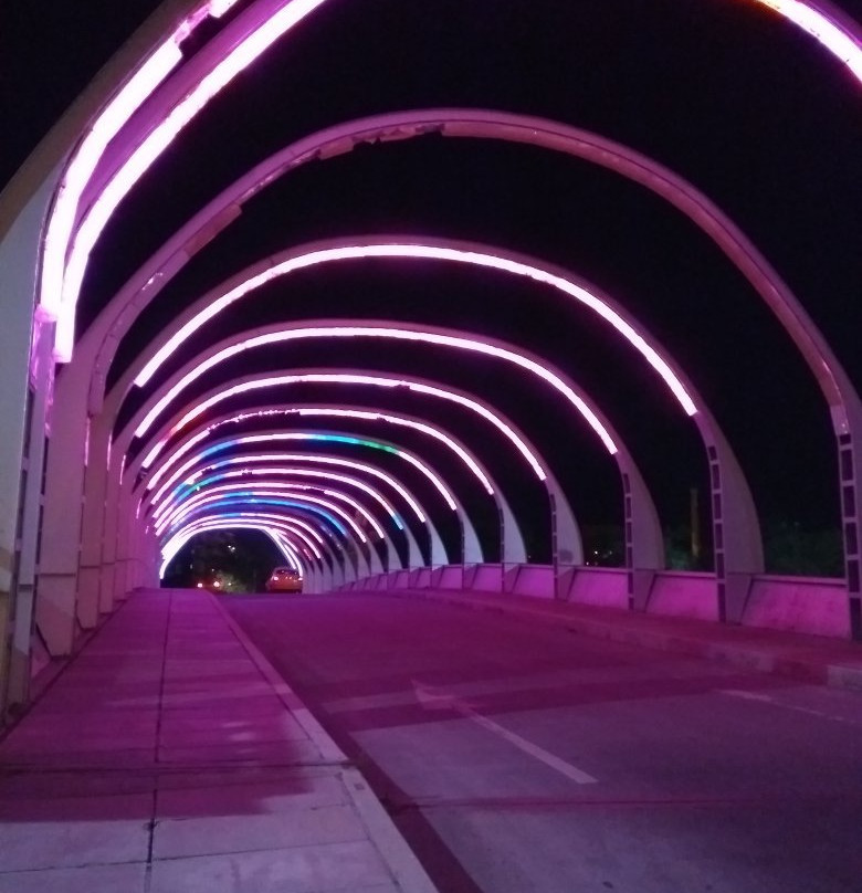 Puente del Bicentenario景点图片