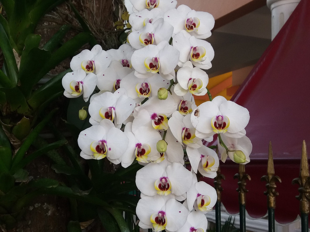 Pousada Casablanca主图