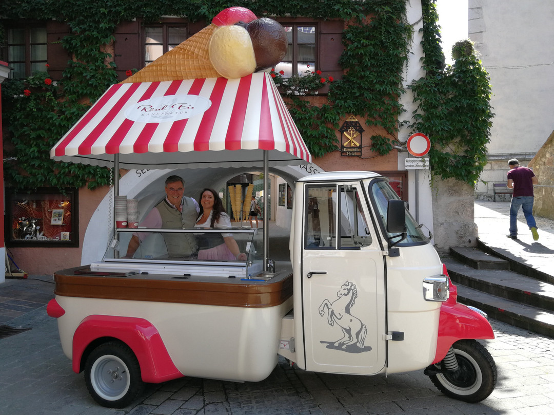 Fischer Das Eis