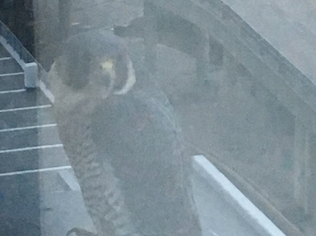 普瑞米尔盖特威克机场酒店 - 北航站楼主图