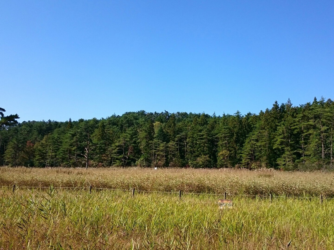 Kurozou Marshland-三好市必去景点