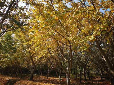 湖口县旅游攻略图片