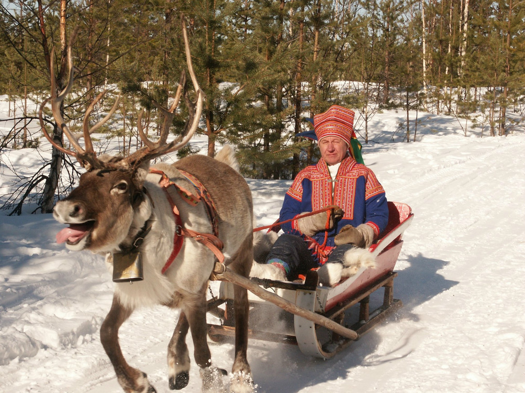 Sirmakko Reindeer Farm-罗瓦涅米必去景点