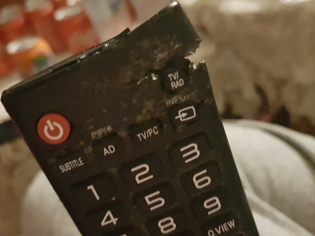 Mas del Conill主图