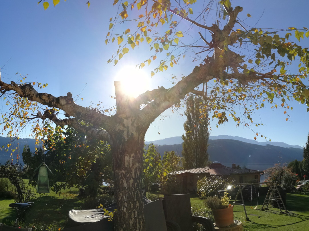 Ferienwohnungen Fischerhaus主图