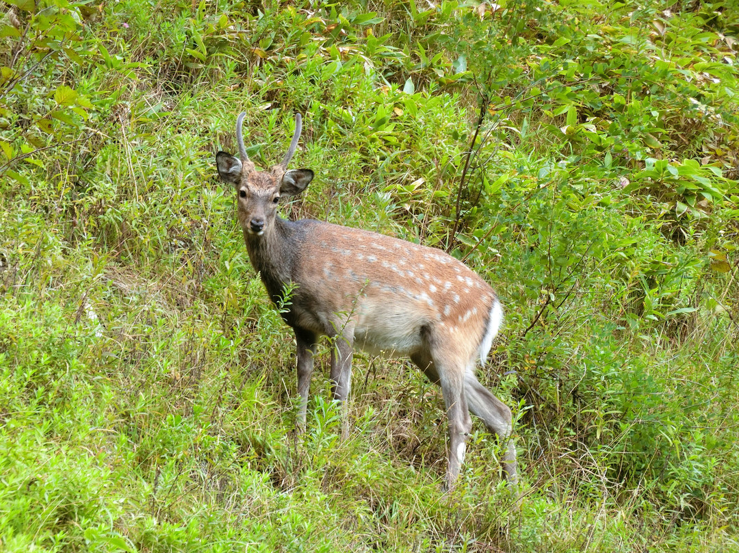 Sekisho Jukai Road-夕张市必去景点