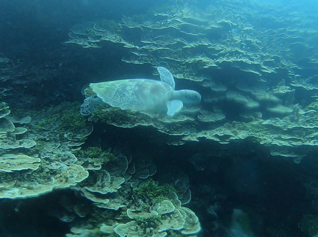 Guam Ocean Academy-Piti必去景点