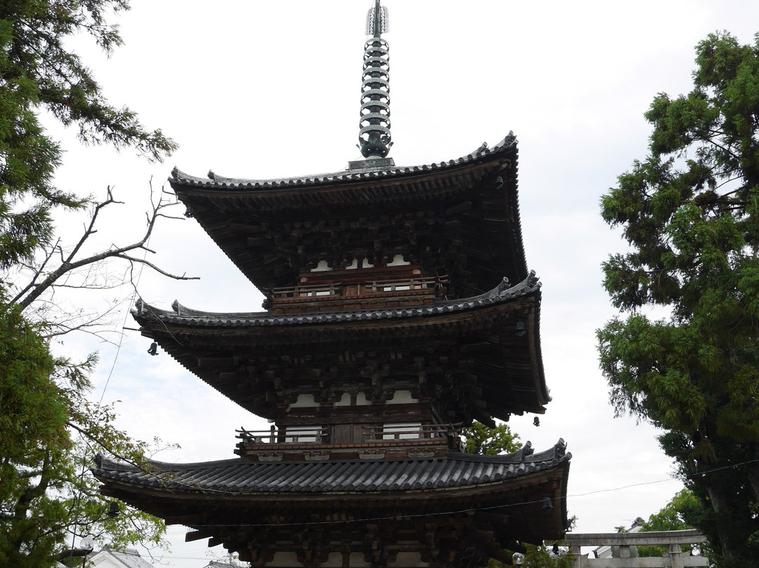 Kudara-ji Temple景点图片