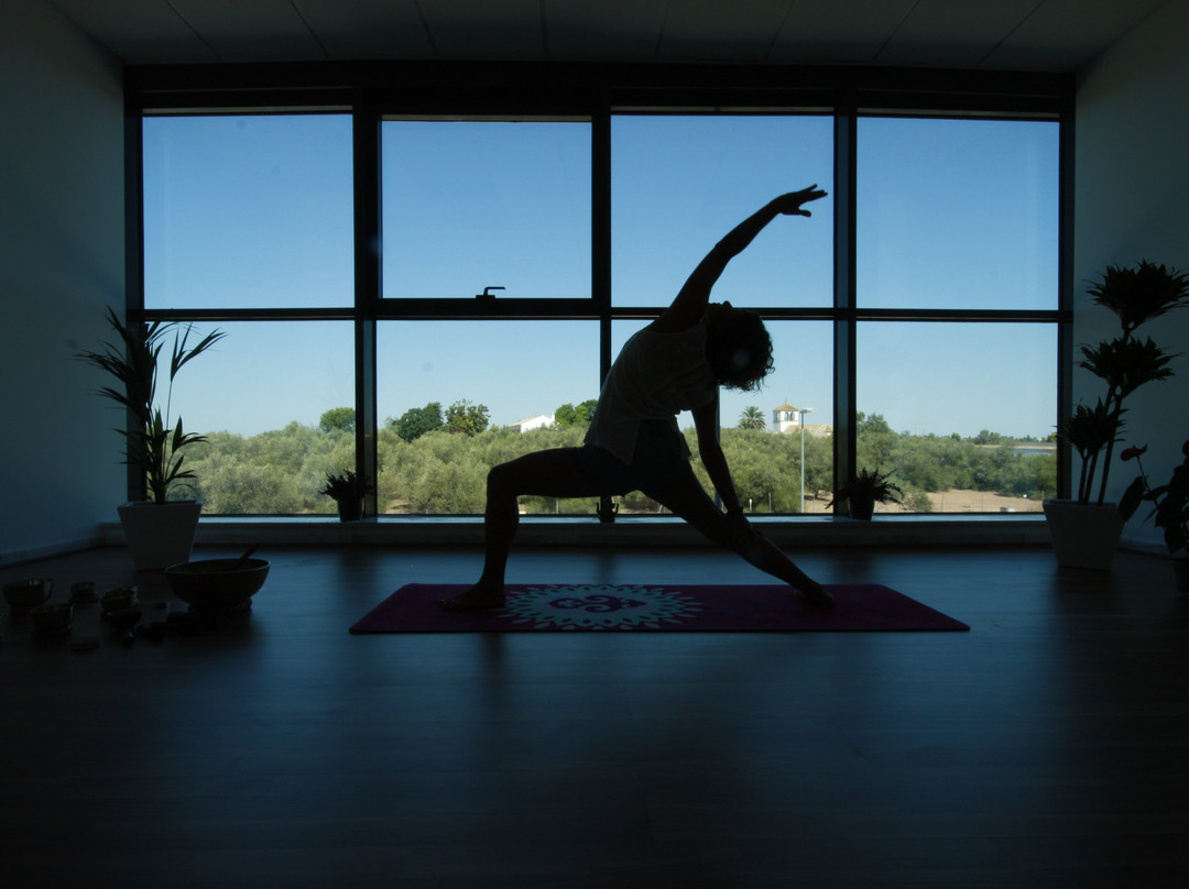 Vive YOGA-迈雷纳德拉尔哈拉费必去景点