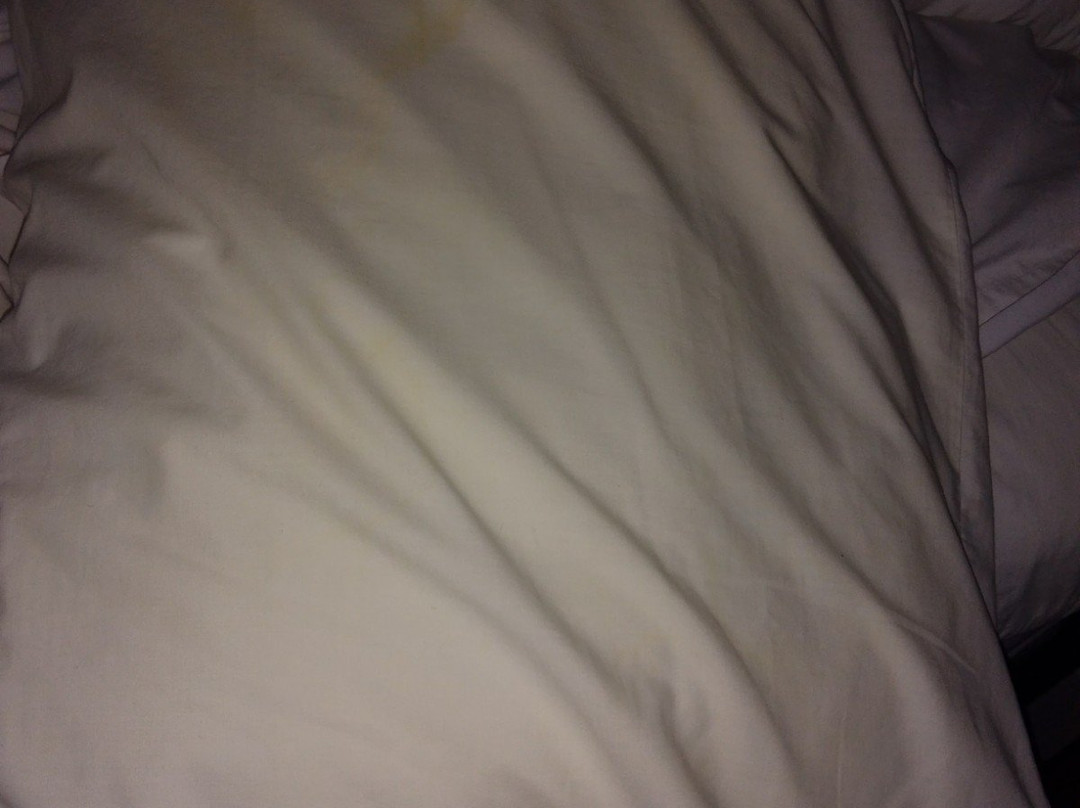 Maison Tait House主图