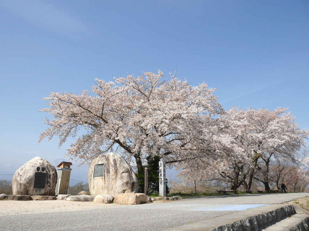 Soshunfu Kahi Park-安昙野市必去景点