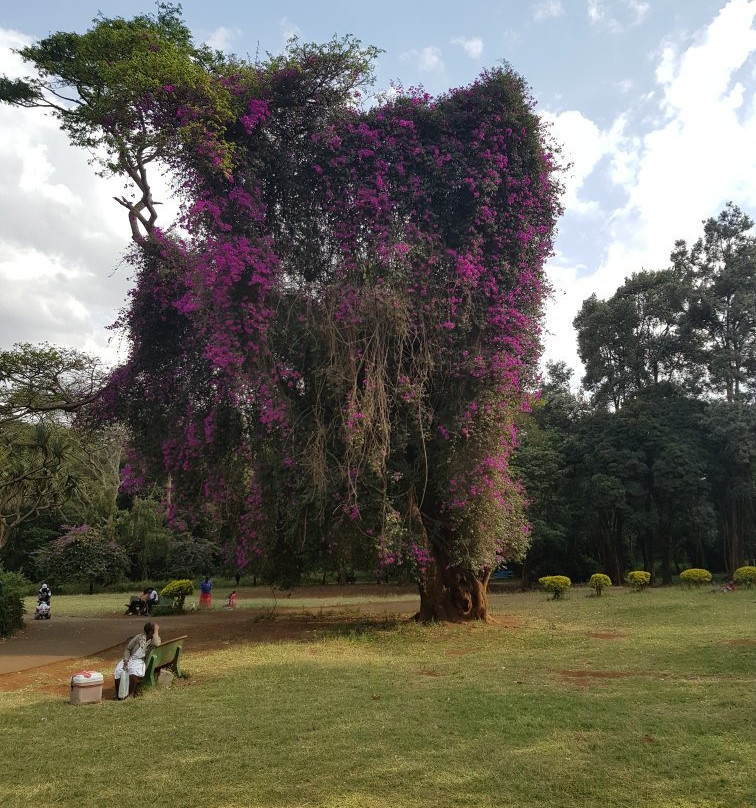 City Park-内罗毕必去景点