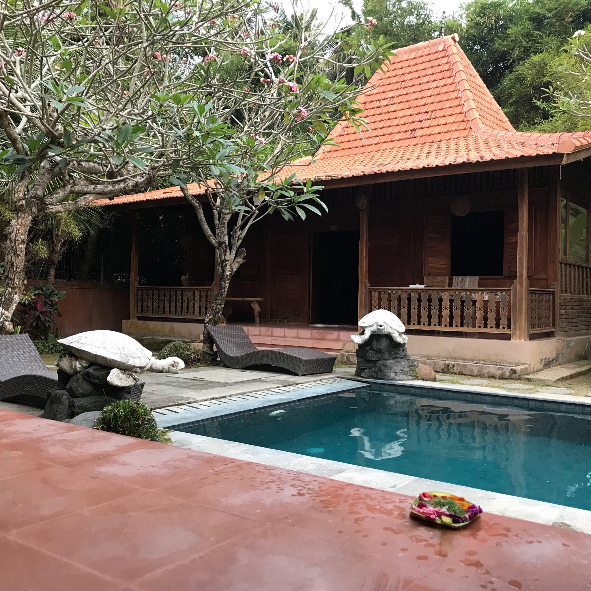 Bali Bulan Villa-官方