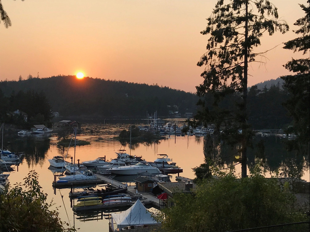 Painted Boat Resort Spa & Marina主图