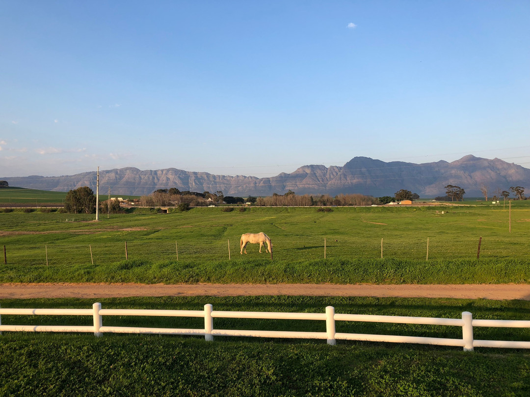 Klein Eikeboom主图