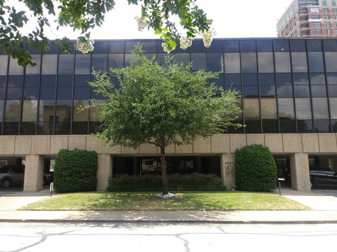 Trained In The Art Of Touch-达拉斯必去景点