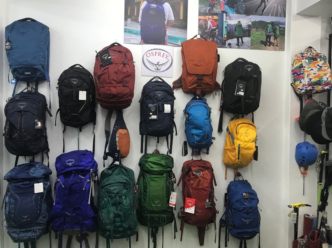 Backpacks 4U景点图片