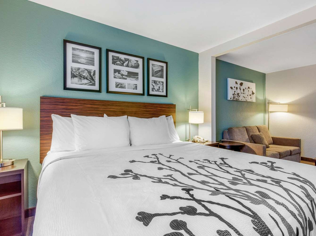 Sleep Inn & Suites Auburn Campus Area I-85主图