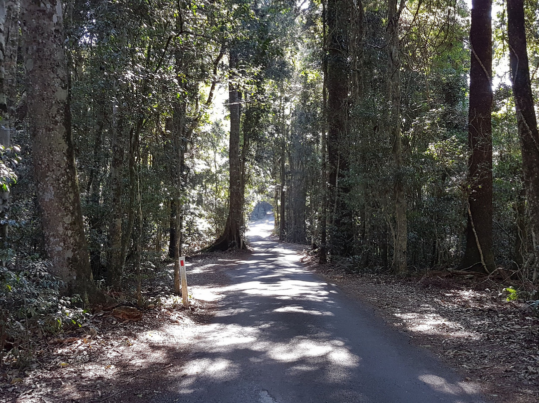 Kamarun Lookout-Scenic Rim必去景点