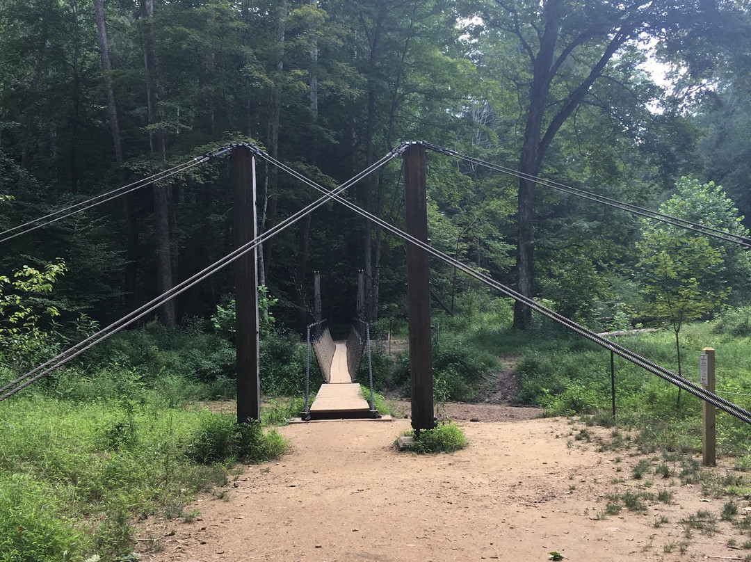 Hemlock Bridge Trail景点图片