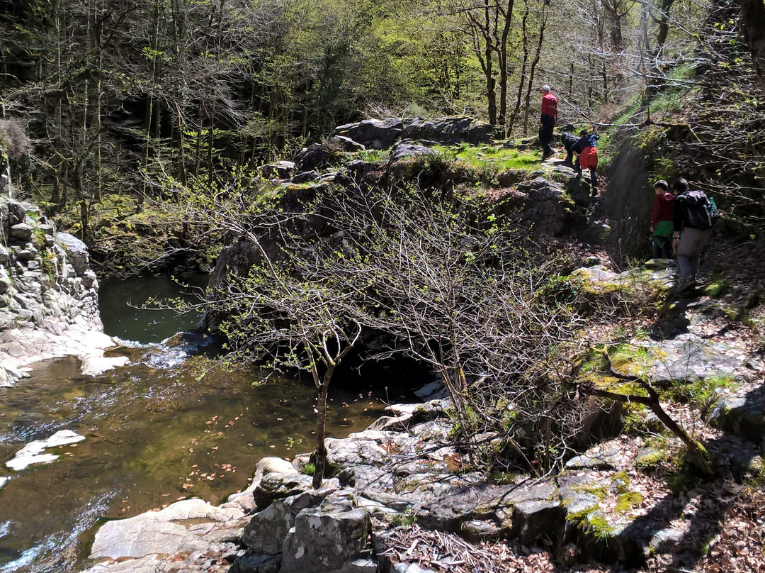 Caracole Nature-Saint-Michel-de-Bannieres必去景点
