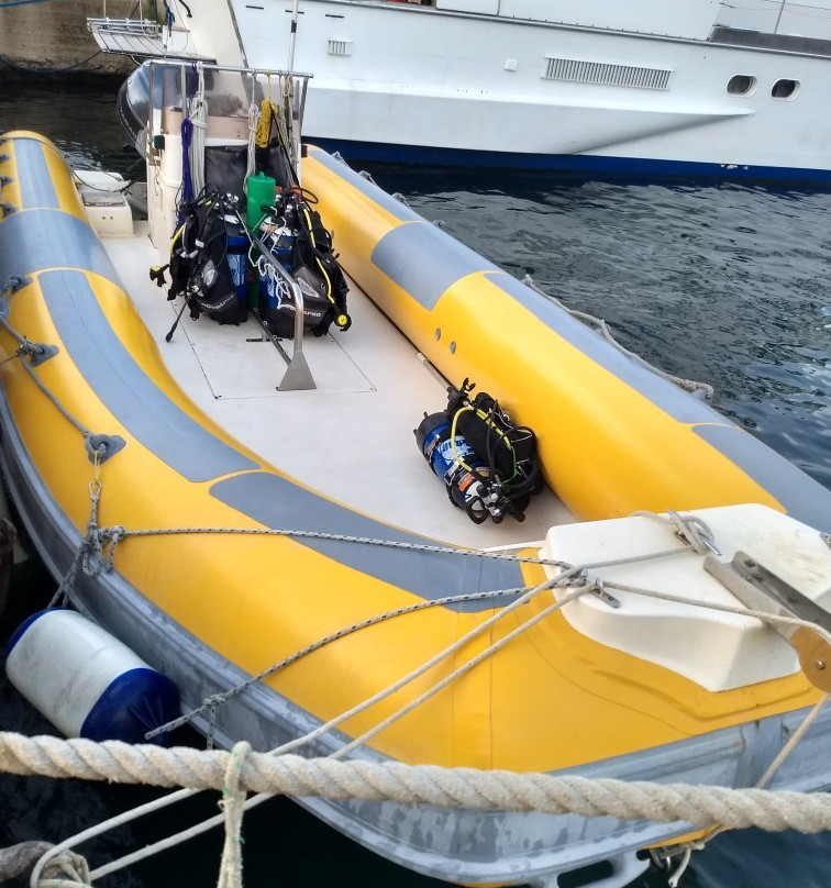 Orca Dive Club Sardinia-圣特雷莎加卢拉必去景点