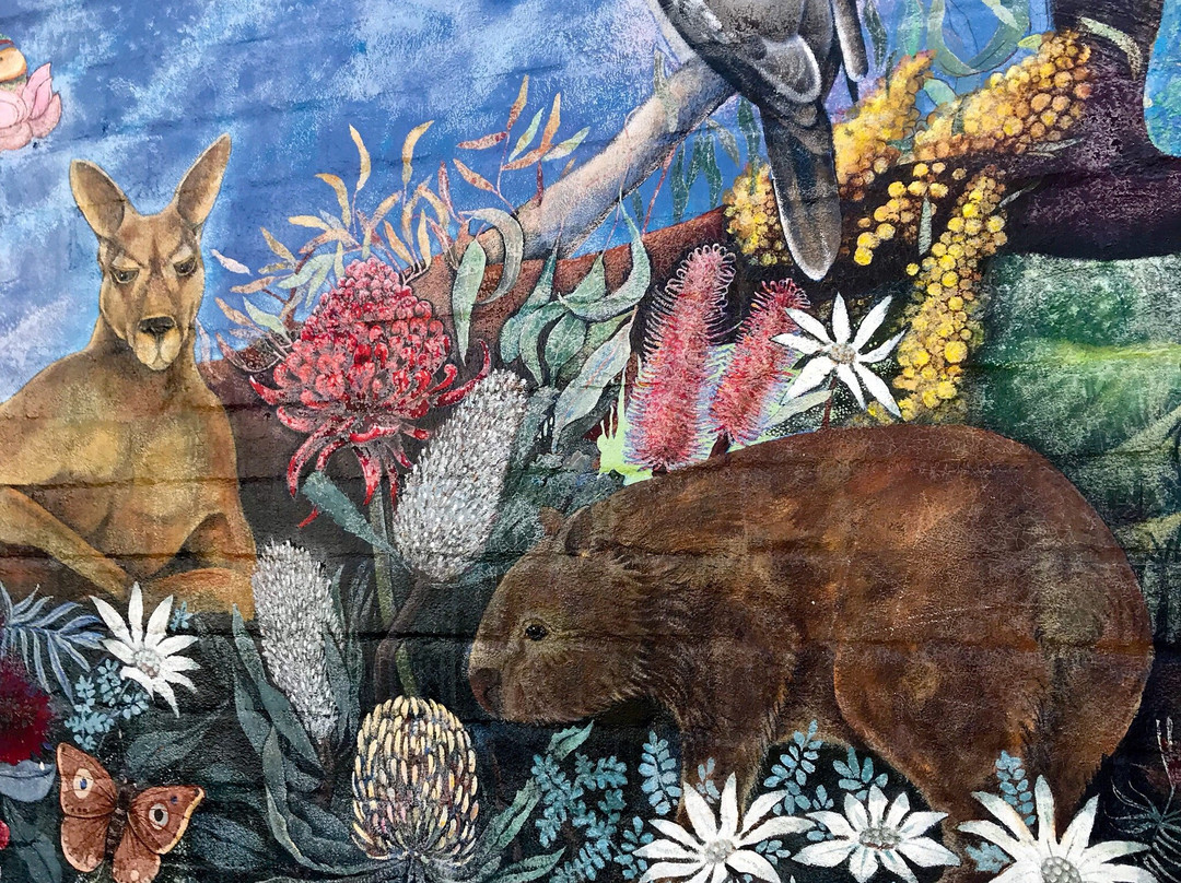 Street Art Walk - by Street Art Murals Australia景点图片