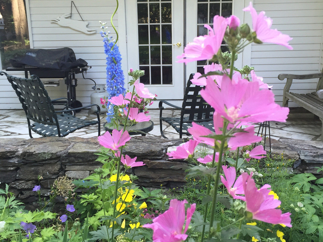 The Cornucopia Bed & Breakfast主图