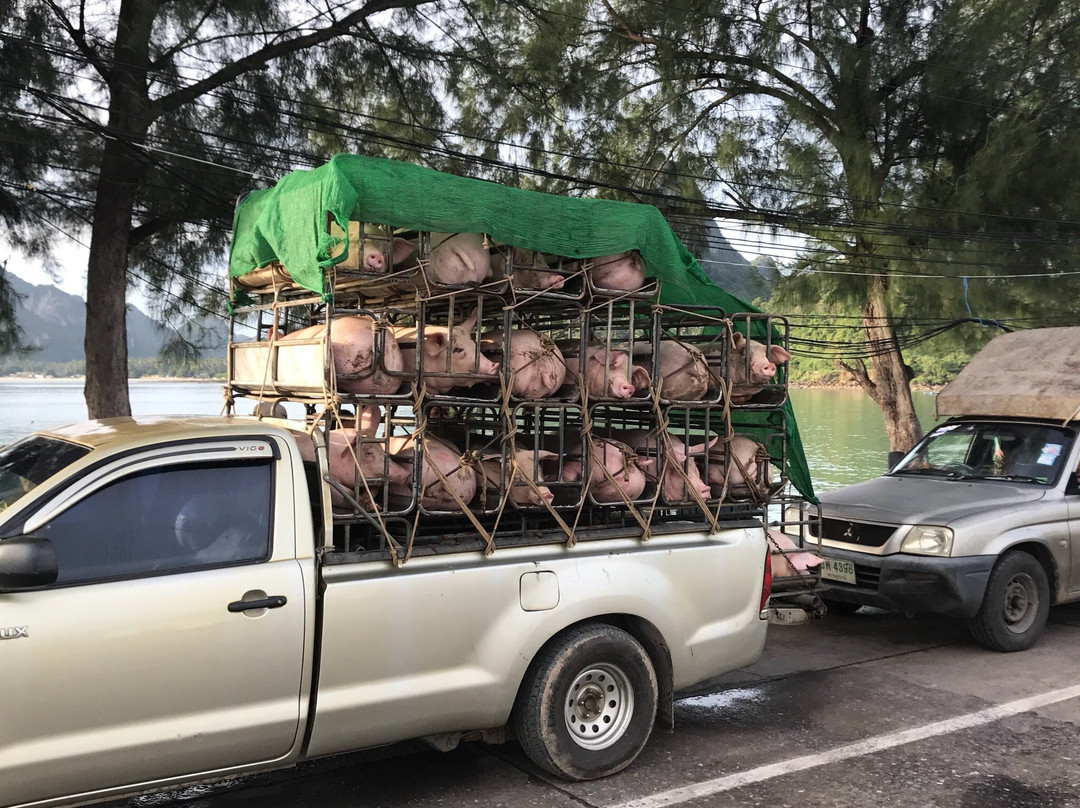 Donsak Pier-廊塞必去景点