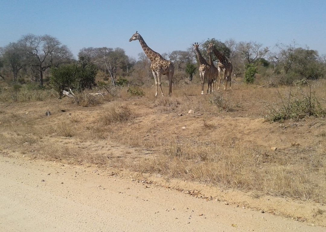 Mashalas Travel-坎顿园必去景点