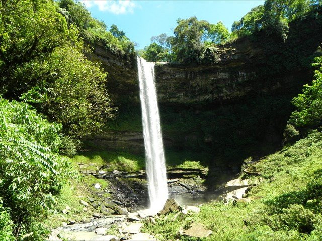 Parque Mata Atlântica景点图片