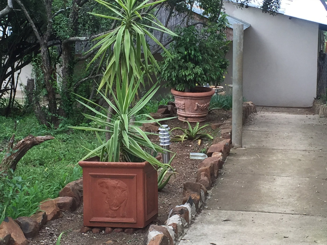 The Owl and Elephant Lodge主图