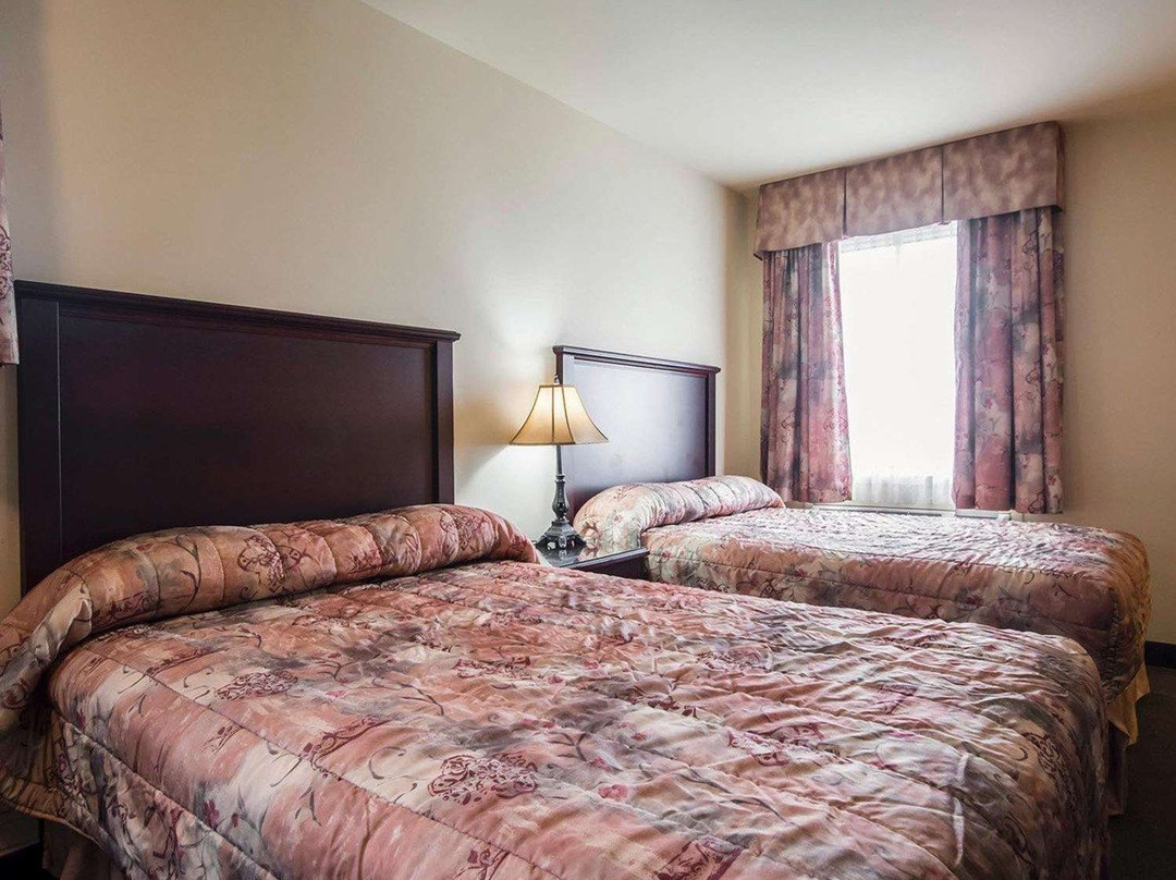 Econo Hotel Levis主图