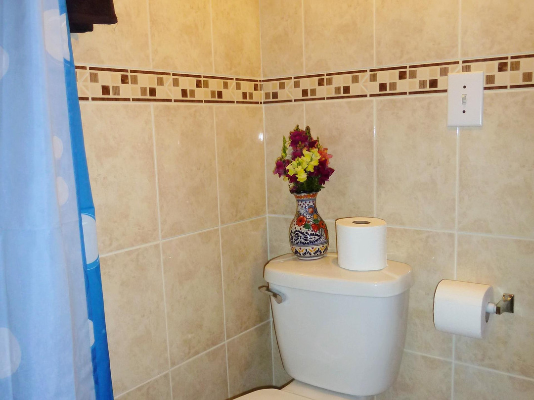 La Casa del Poblanito Hotel Bed & Breakfast & Tours主图