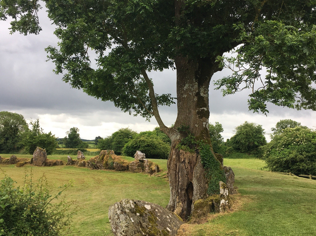 Grange Stone Circle-Bruff必去景点