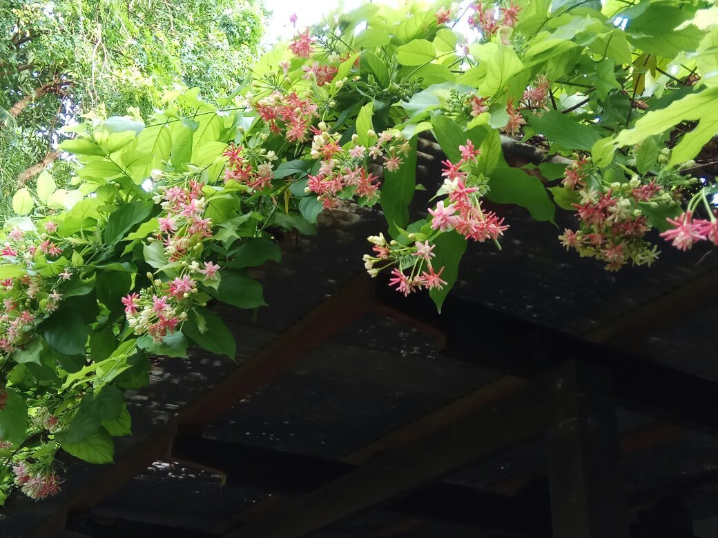 蒙天之家酒店主图