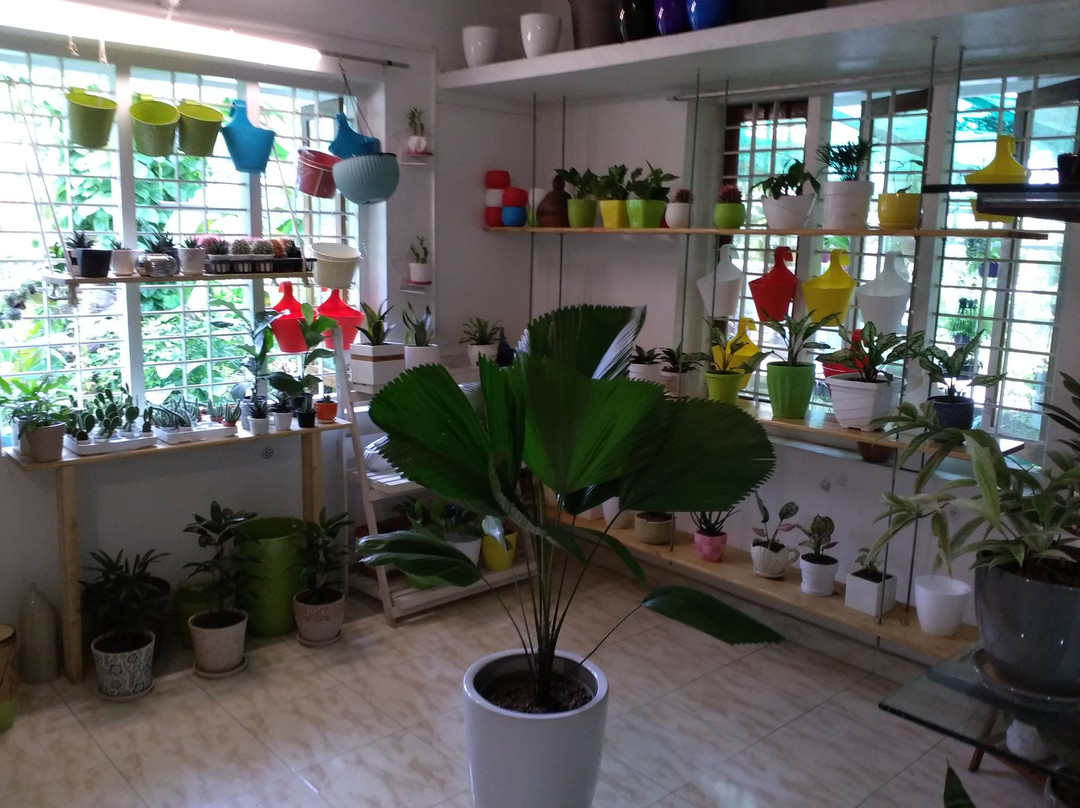 Chris Bottle Crafters Indoor Home Garden景点图片