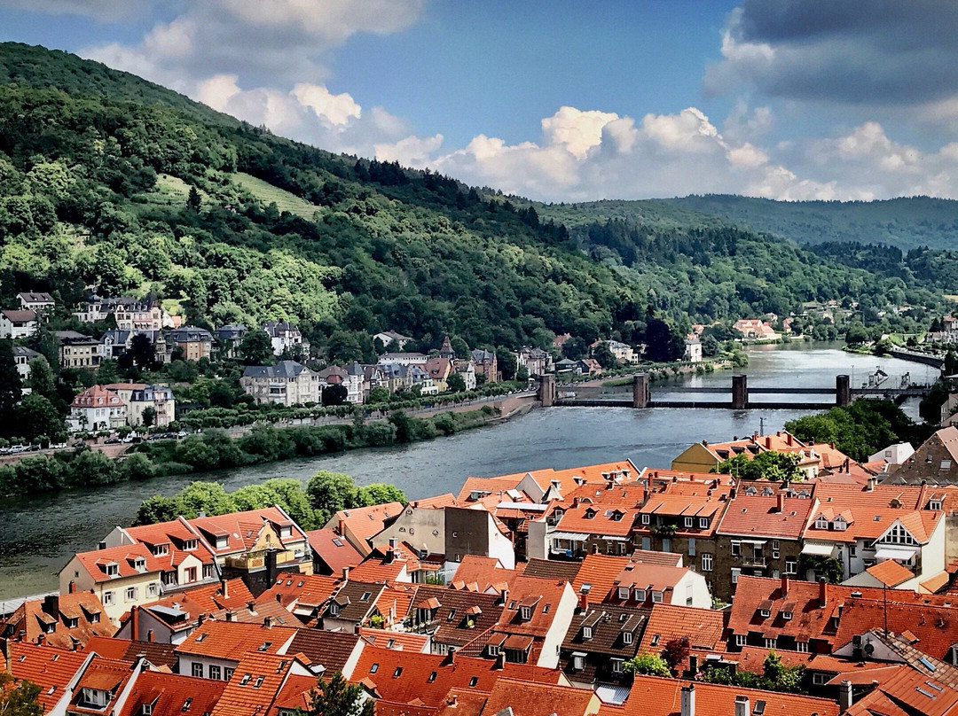 Heidelberg City Bus Tour-海德尔堡必去景点