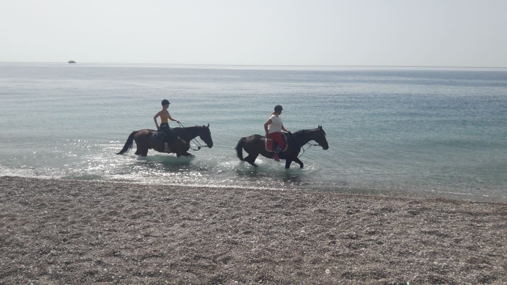 Horse Riding To The Beach-罗德城必去景点
