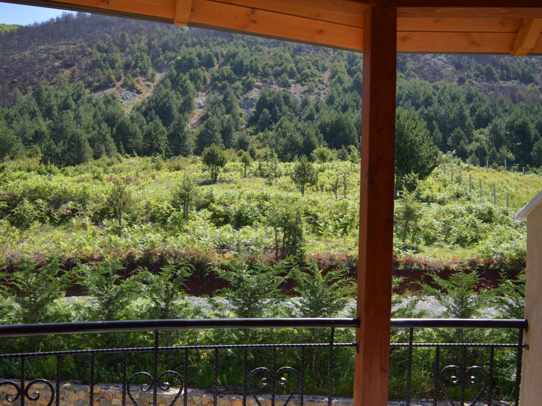 Sofra e Shpatit主图