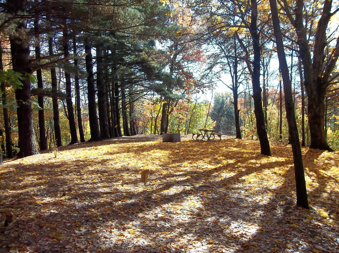 Wabasis Lake Campground
