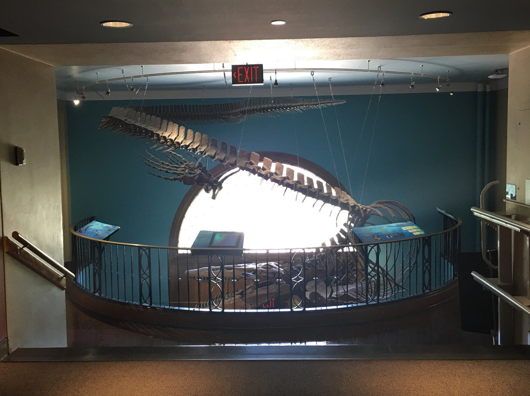 Biodiversity Institute and Natural History Museum-劳伦斯必去景点