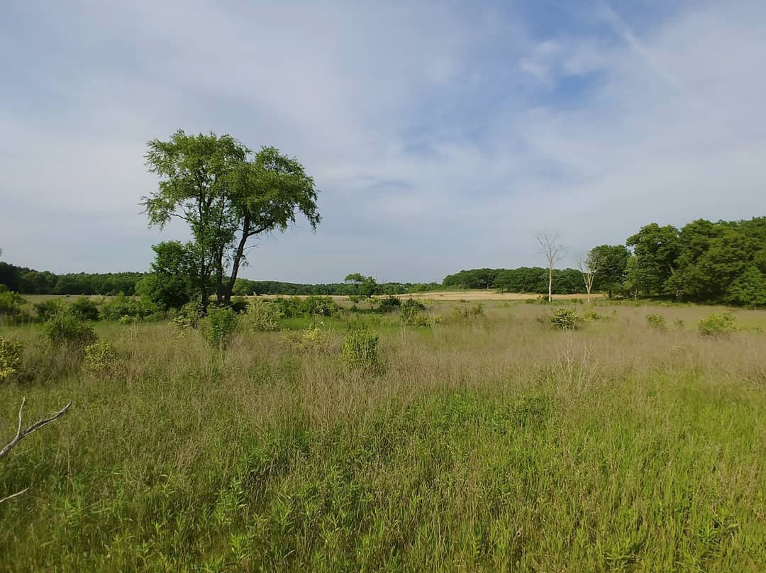 Wild 3L Ranch-Eagle必去景点