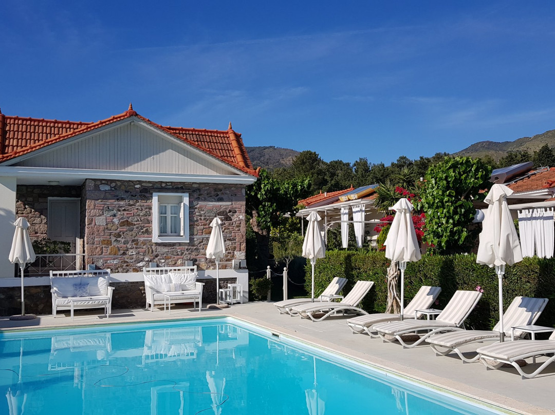 Oikies Small & Elegant主图