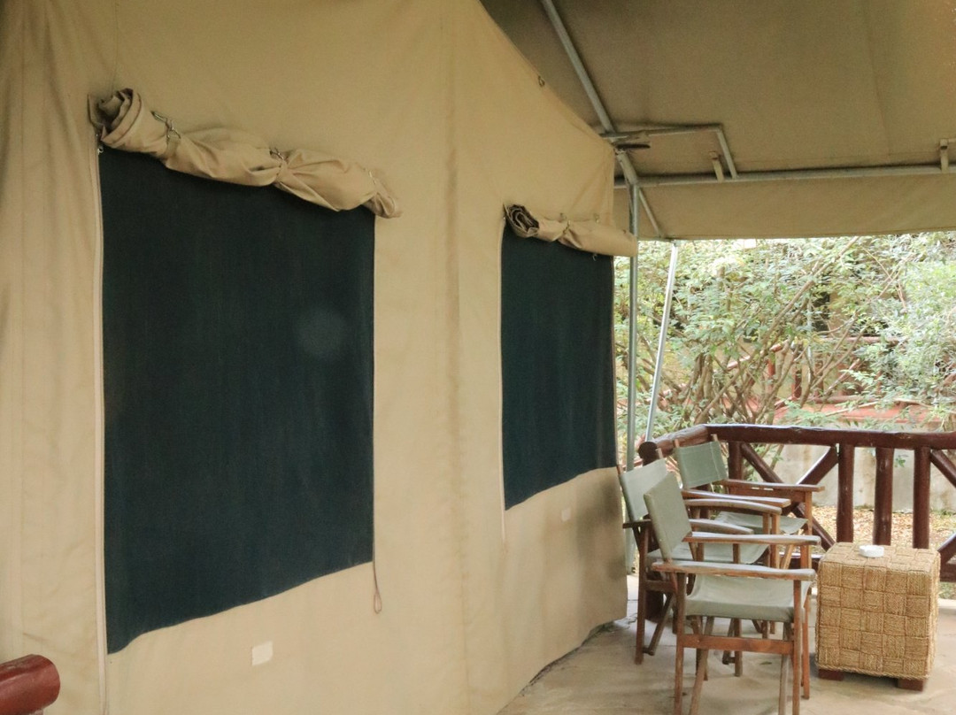 马塞马拉度假帐篷酒店主图