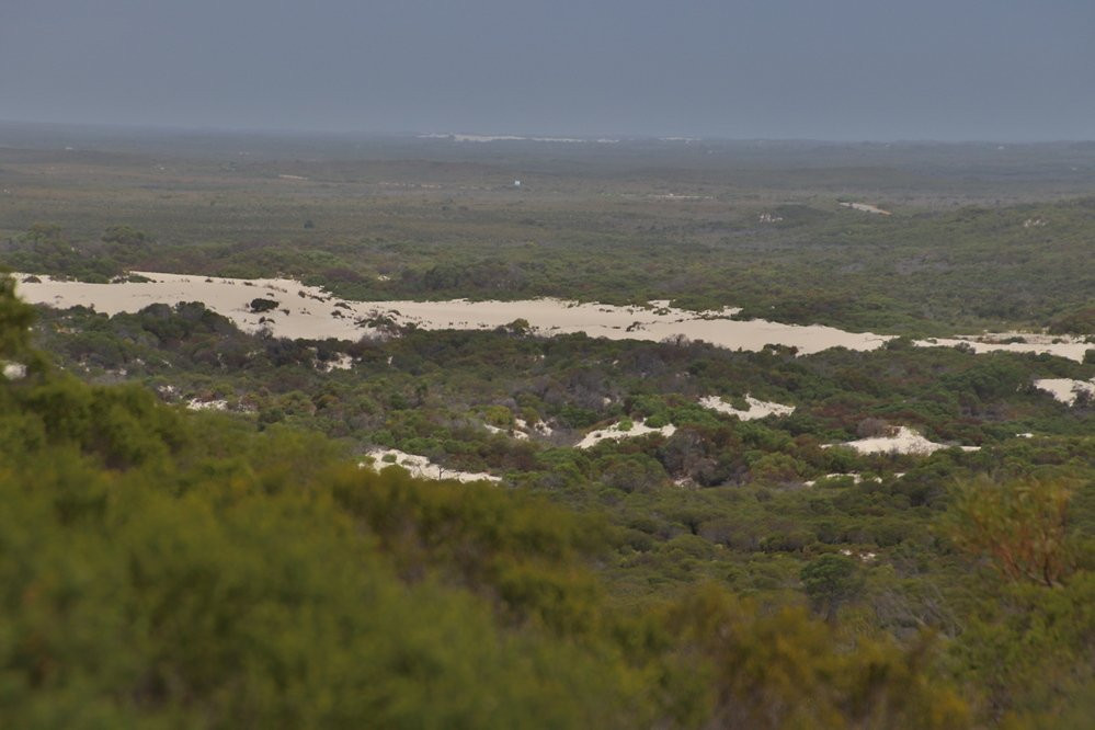 Molah Hill Lookout景点图片