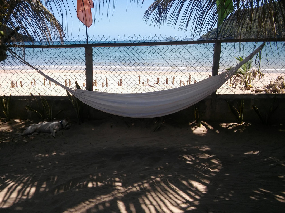 Bucana Beachfront Guesthouse主图