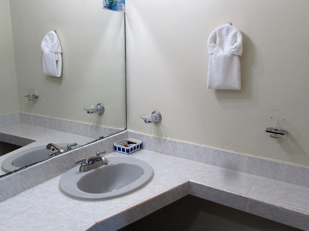 Hotel Alfa Inn主图