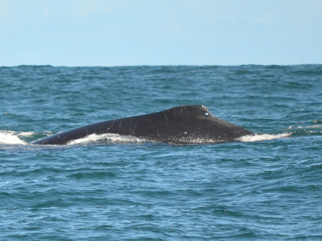 Bahia Vacations Private Tours-萨尔瓦多必去景点