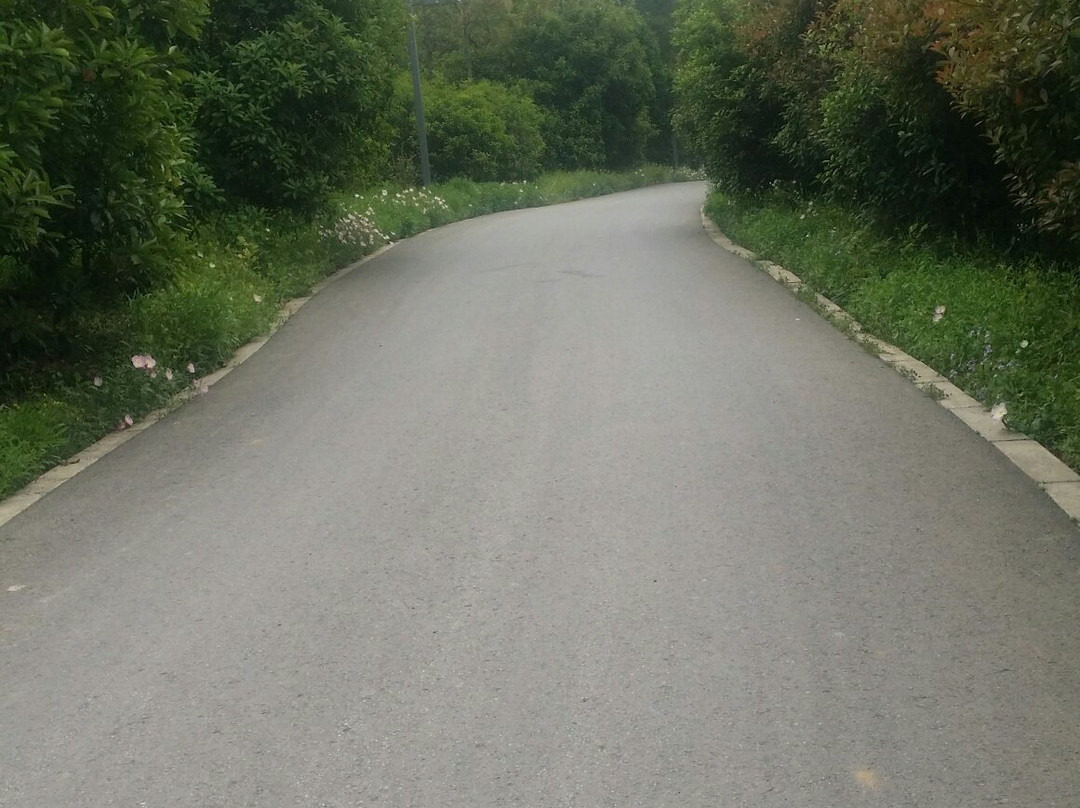 天生桥-溧水县必去景点